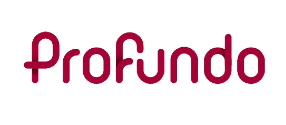 Kundservice Kundcase Profundo